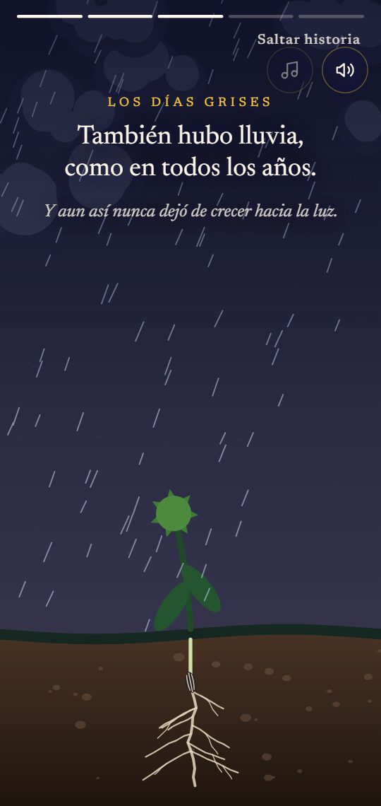 Capítulo de la historia: una planta bajo la lluvia